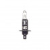 Лампа головного света Avantech H1 24V 100W AB0005