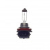 Лампа головного света Avantech H8 12V 80W AB0033