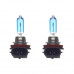Лампа высокотемпературная Avantech H9 12V 65W (120W) 5000K, комплект 2 шт. AB5009