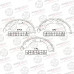 Колодки тормозные барабанные AVANTECH AVS0112