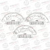 Колодки тормозные барабанные AVANTECH AVS0116