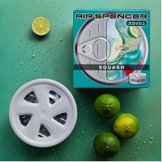 Ароматизатор меловой SPIRIT REFILL - SQUASH A9